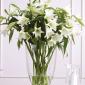 Lily altar arrangement