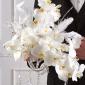 White orchid bouquet