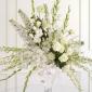 White pedestal arrangement