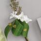 White corsage
