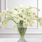 Tulip and amaryllis altar arrangement
