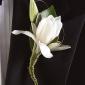 Tulip boutonniere