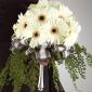 Gerbera daisy bouquet