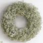 Baby's breath wreath