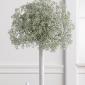 Baby's breath topiary centerpiece