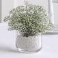 Baby's breath vase centerpiece