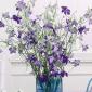Tall rectangle vase arrangement