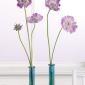 Bud vase arrangement