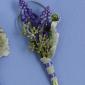 Muscari boutonniere
