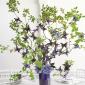 Butterfly and branch centerpiece
