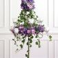 Candelabra