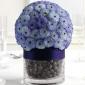 Chrysanthemum sphere reception centerpiece