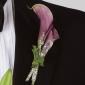 Calla Lily boutonniere