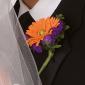 Orange gerber daisy boutonniere