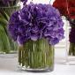 Hydrangea altar arrangement