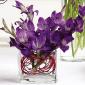 Miniature gladiolus altar arrangement
