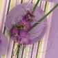 Purple orchid corsage