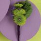 Kermit pom boutonniere