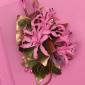 Pink nerine corsage