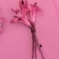 Pink nerine boutonniere
