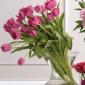 Pink tulips vase arrangement