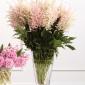 Pink astilbe vase arrangement