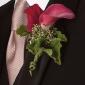 Pink calla lily boutonniere