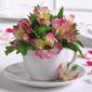 Teacup arrangement