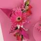 Gerber daisy corsage