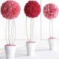 Carnation topiary