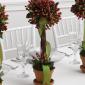 Hypericum topiary trio reception centerpiece