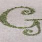 Monogram aisle runner