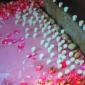 Pink rose and votive candle altar