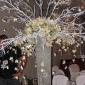 White branch and orchid centerpiece