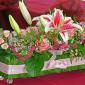 Pink planterbox
