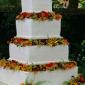 Prairie cake