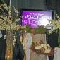 Orchid tree display