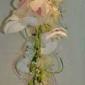 Contemporary cymbidium orchid cascade