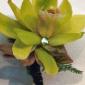 Orchid and succulent boutonniere