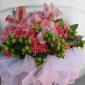 Pink carnation bouquet