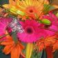 Pink and orange bouquet